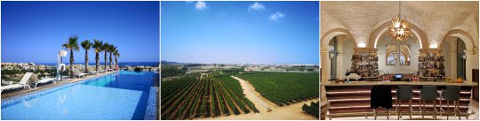 Malta Inspection, August 2020 Malta Inspection, August 2020