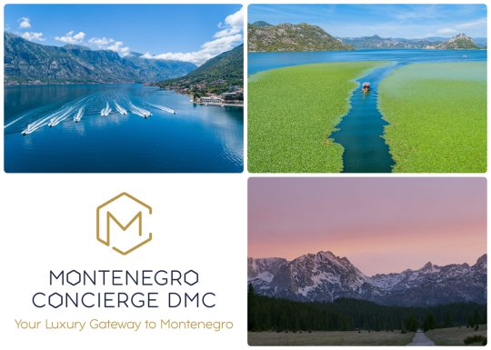 neuer Partner neuer Partner