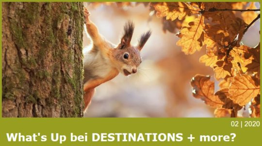 What's Up DESTINATIONS + more, 02|2020 What's Up DESTINATIONS + more, 02|2020
