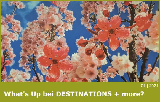 What's Up DESTINATIONS + more, 01|2021 What's Up DESTINATIONS + more, 01|2021