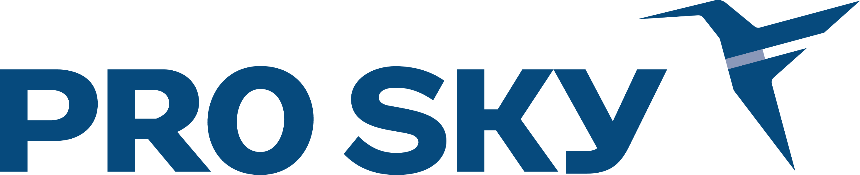 Pro Sky 2023 Logo